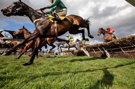 what does each way mean in horse betting|What is an each.